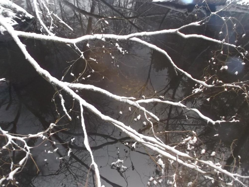 DSCF3121.JPG