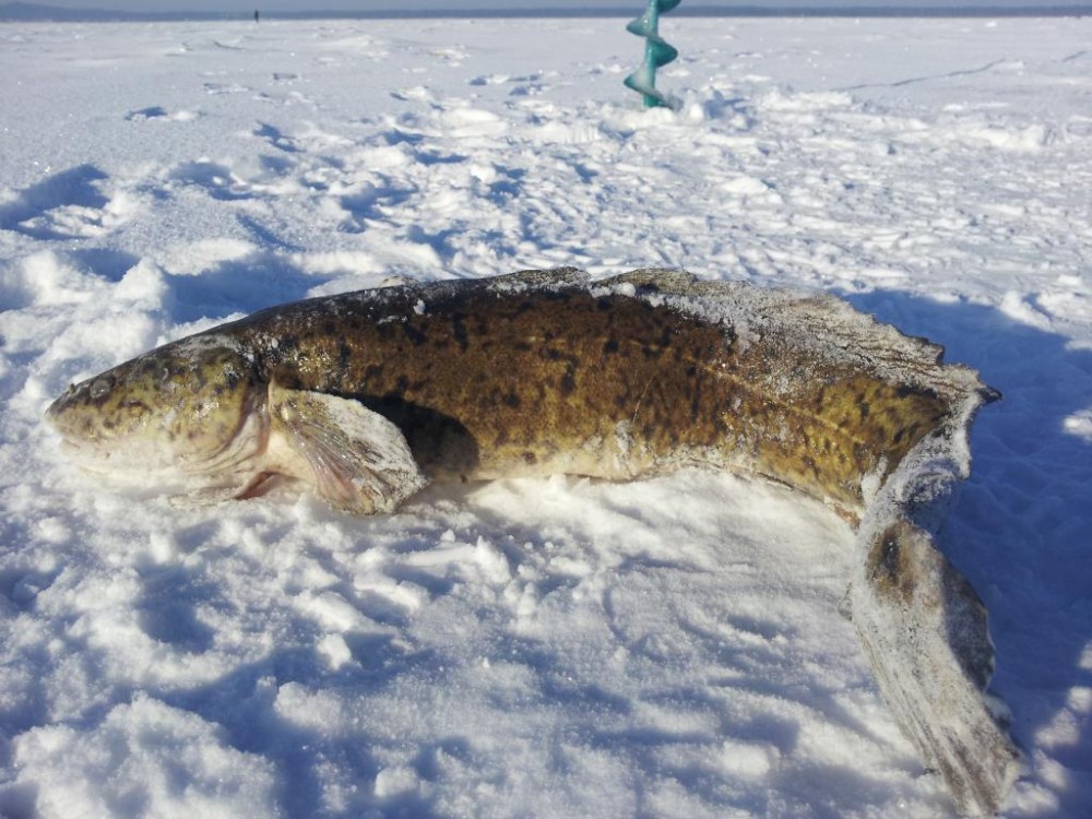 20160123_113501.jpg