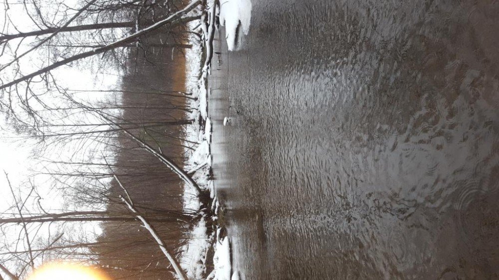 20160126_135952.jpg