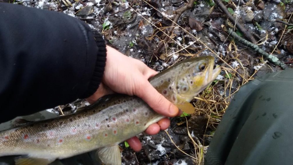 20160204_145115.jpg