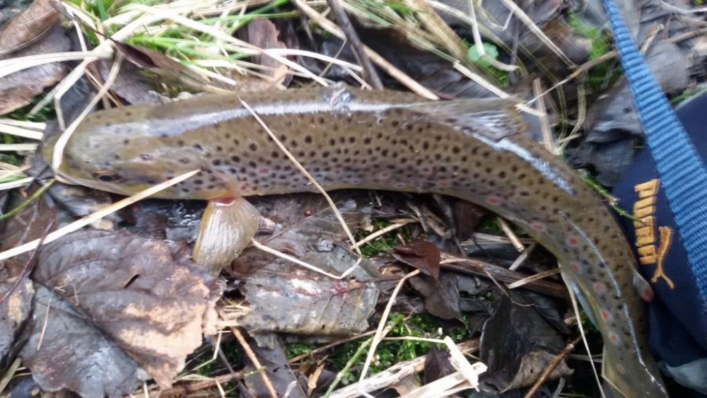20160225_144102.jpg