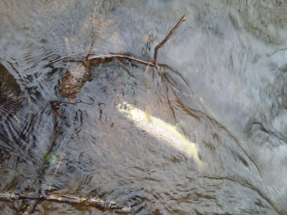 20160227_125015.jpg