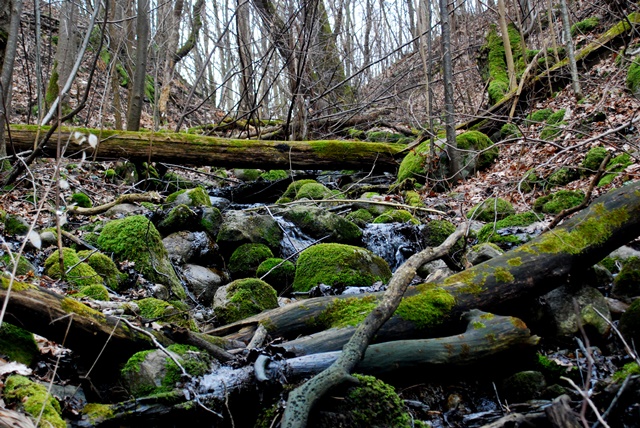 DSC_05151.jpg