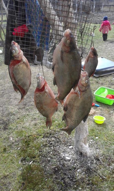 20160327_123806.jpg