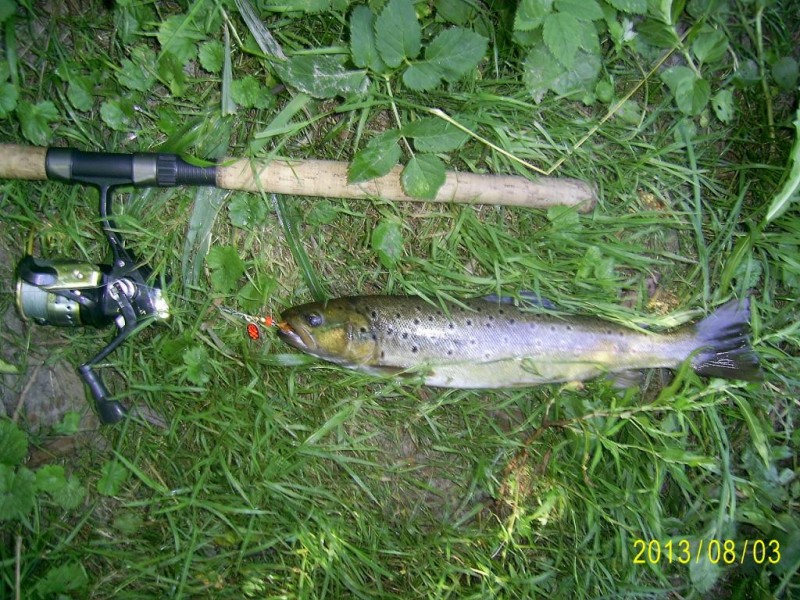 PIC_2598.JPG