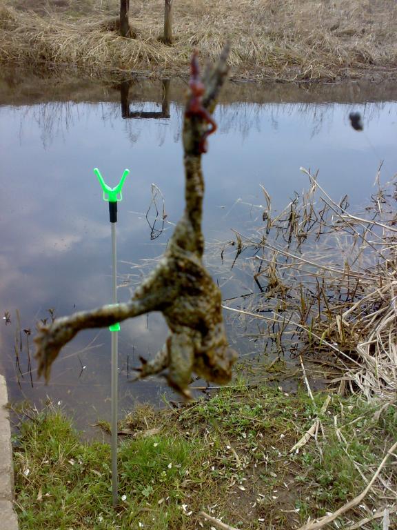 201604071518.jpg