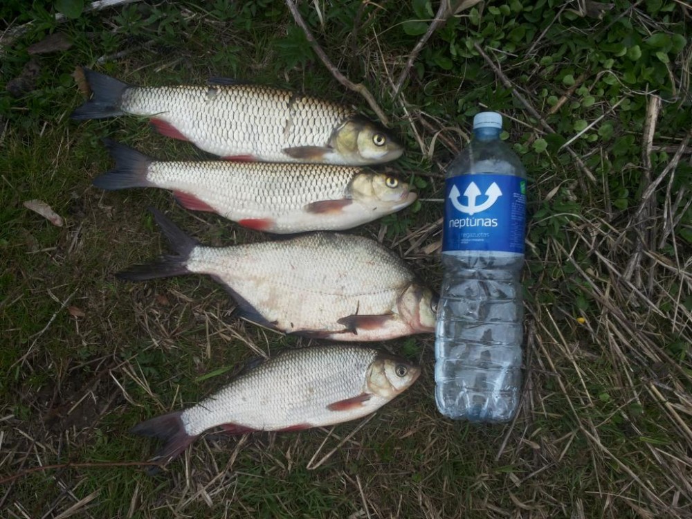 20160407_175747.jpg