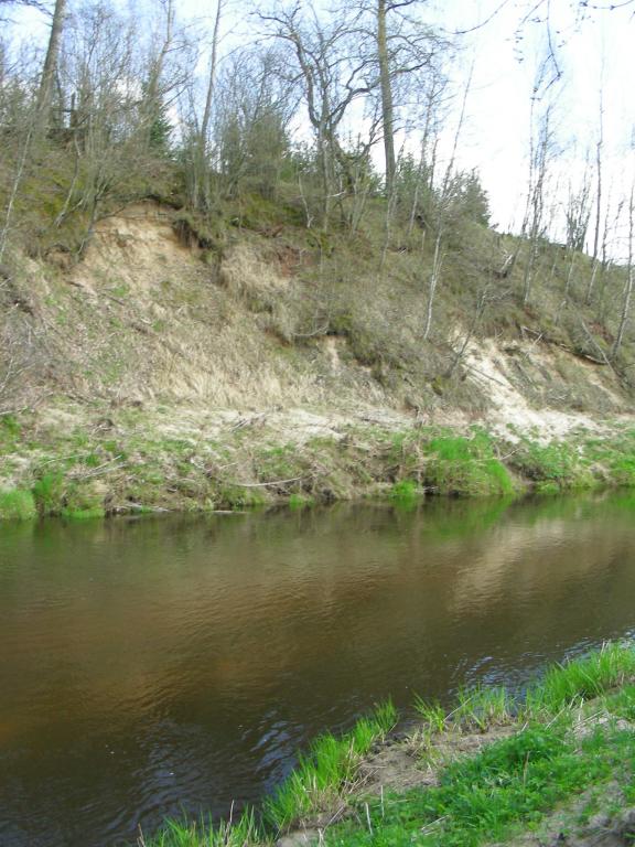 DSCN7637.JPG