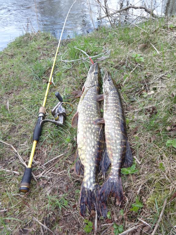 DSC01319.JPG