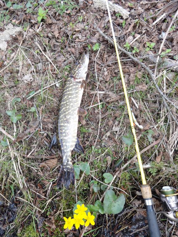 DSC01316.JPG