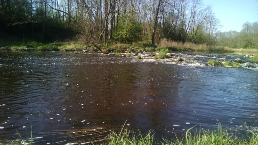 IMG_20160506_094204437.jpg