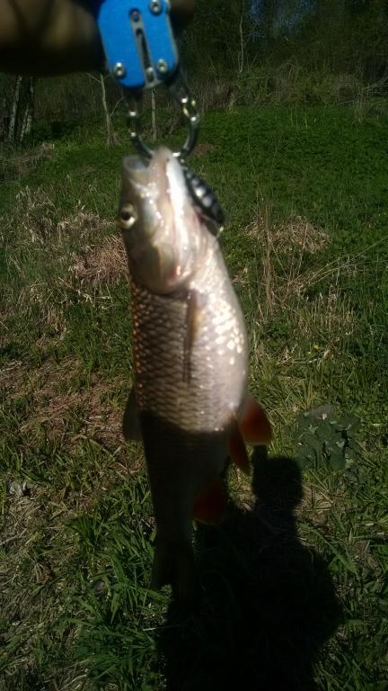 IMG_20160506_094937267.jpg