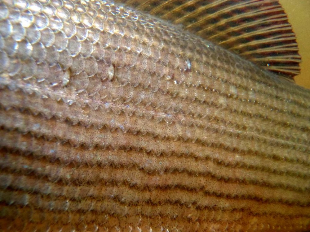 P6053338.JPG