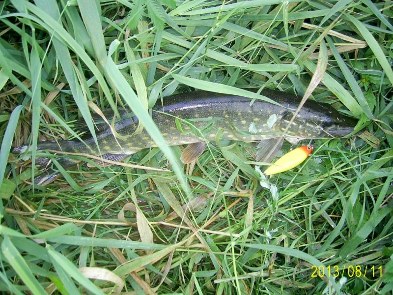 PIC_2615.JPG