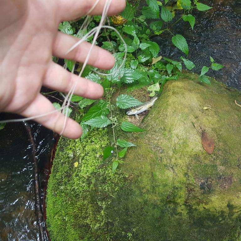 20160731_092704.jpg