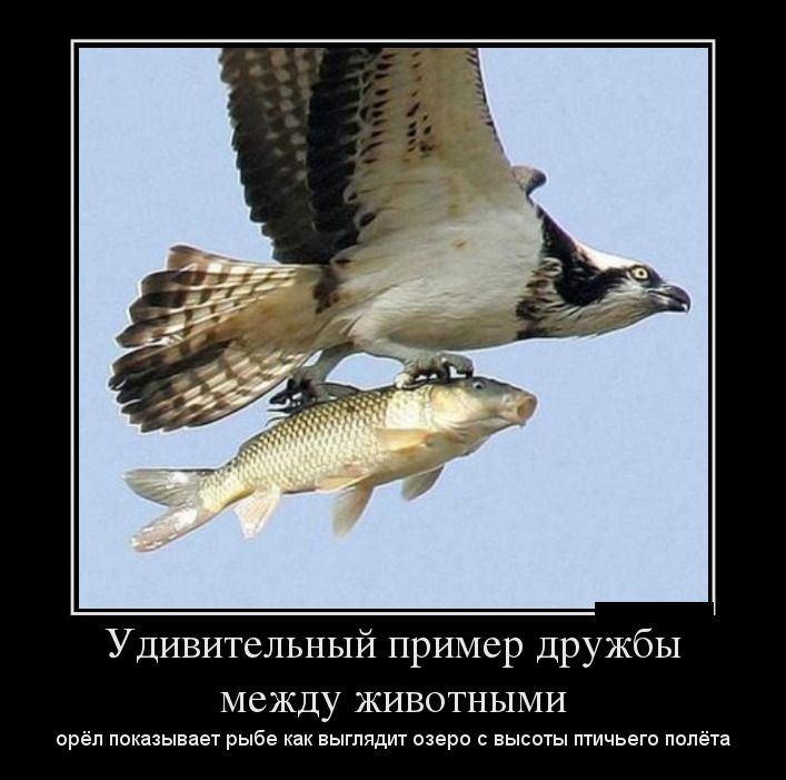 1367299514_05.jpg