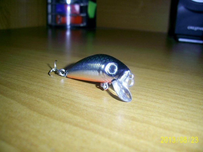 PIC_2657.JPG