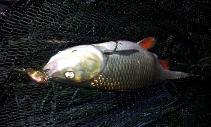 20130823_210303.jpg
