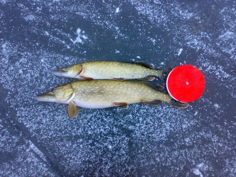 201411301418.jpg