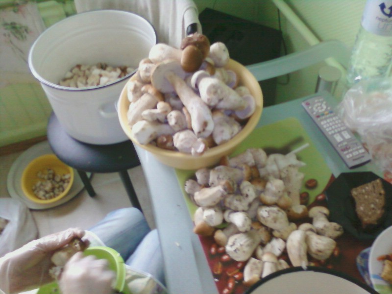Nuotrauka0098.jpg