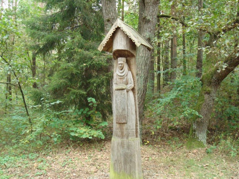DSC00550.JPG