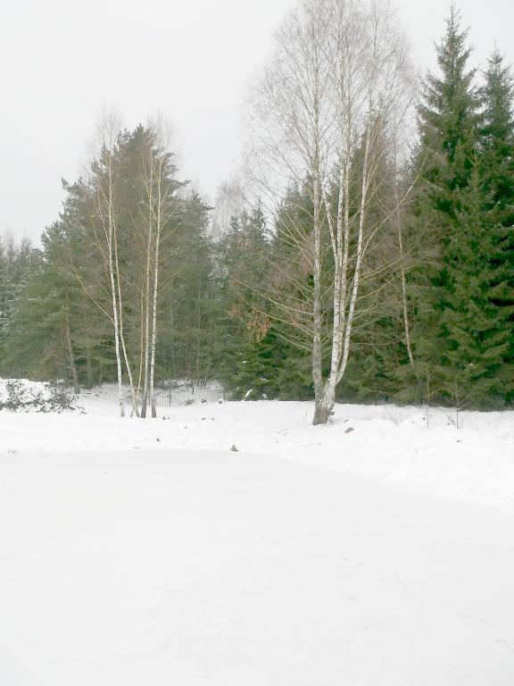 DSCF6712.JPG