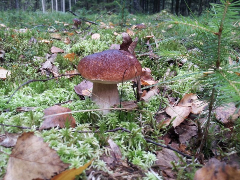 20130827_101453.jpg