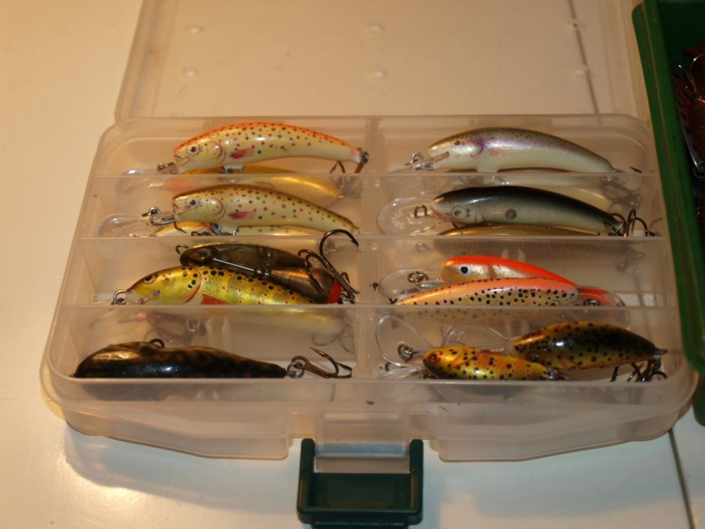 R1016456.JPG
