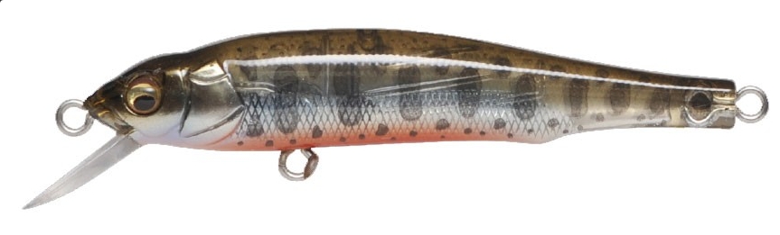 Megabass X-70 Baby Trout.JPG