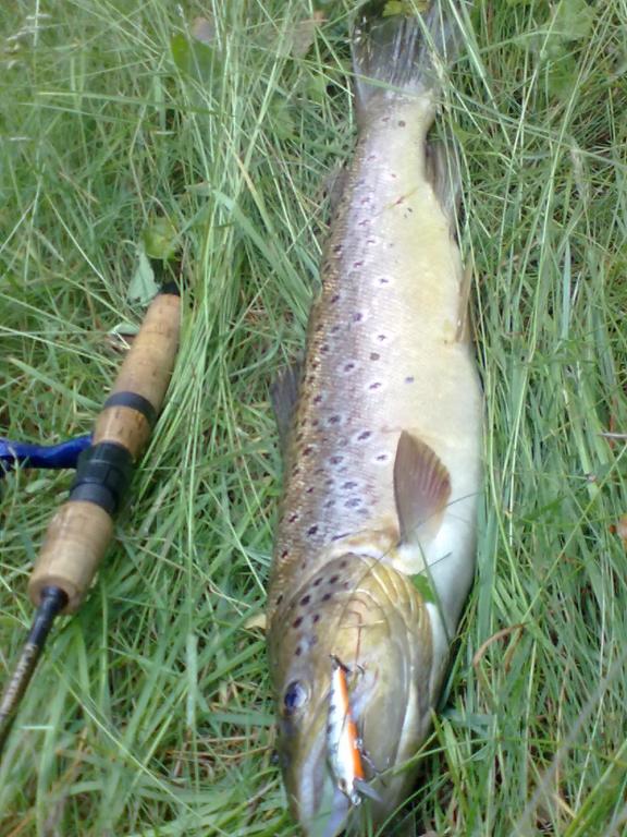 20120628265.jpg