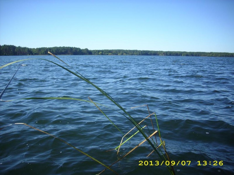 DSCI0007.JPG