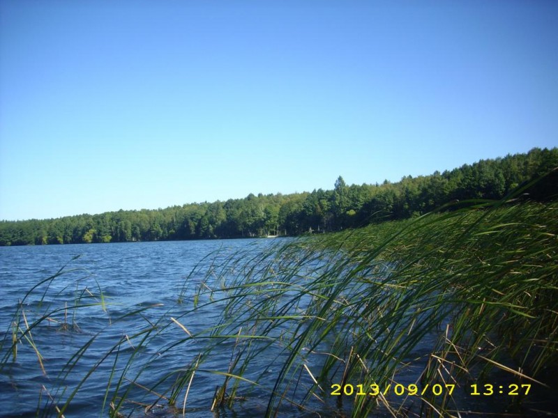 DSCI0008.JPG