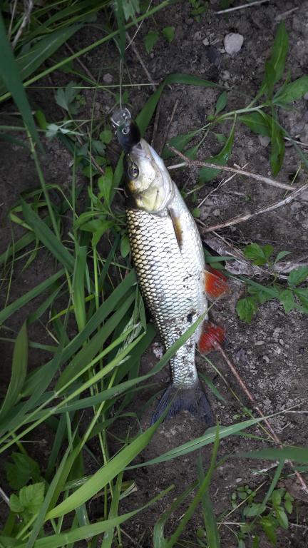 20170615_203930.jpg