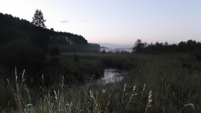 DSCF1712.JPG