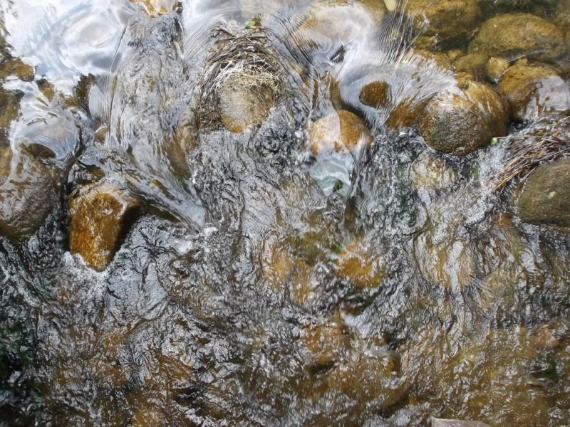 DSCF1049.JPG