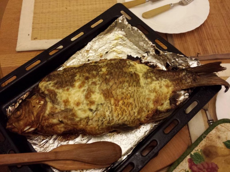 20130911_211733.jpg
