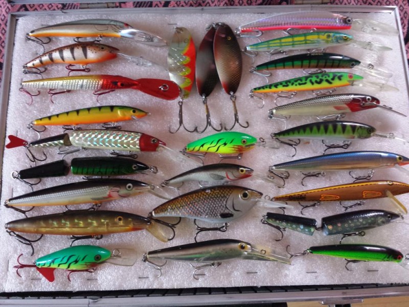 20130921_124201.jpg