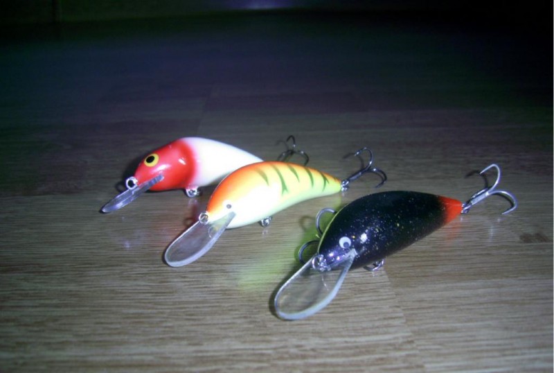 PIC_2795.JPG
