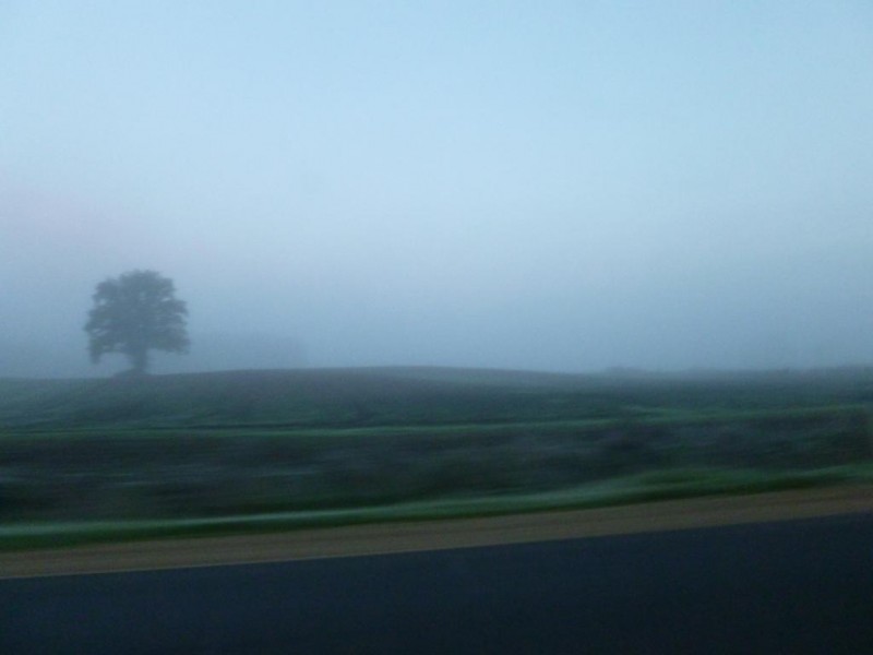 P1050402.JPG