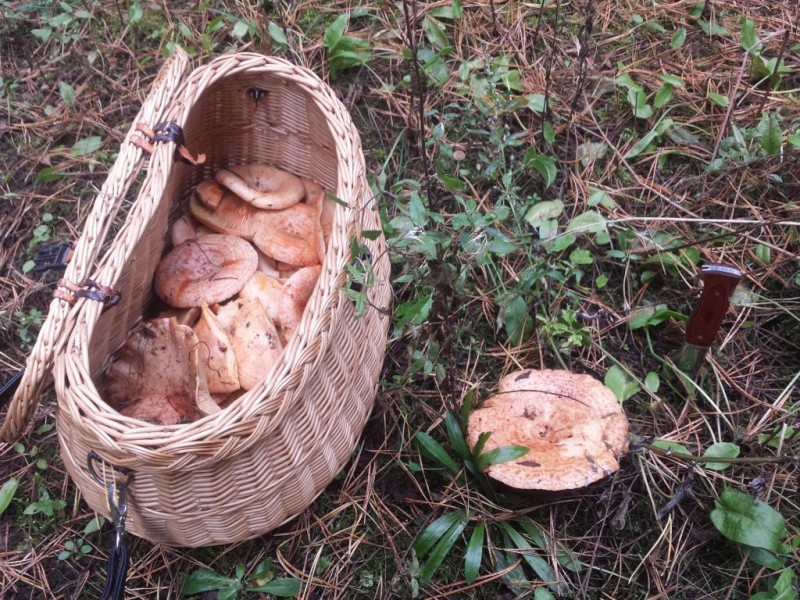 20130926_152808.jpg