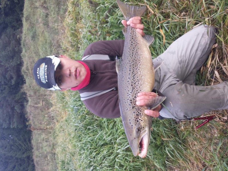20131004_085141.jpg