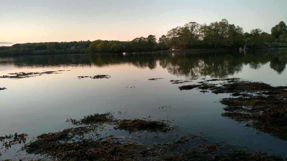 IMG_20190606_202043910_HDR.jpg