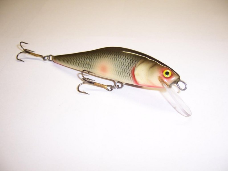 abachi 10,5cm 18g.jpg