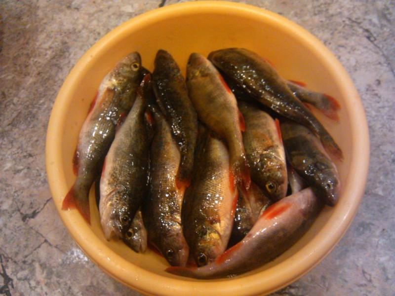 IMG_20131022_203606.jpg