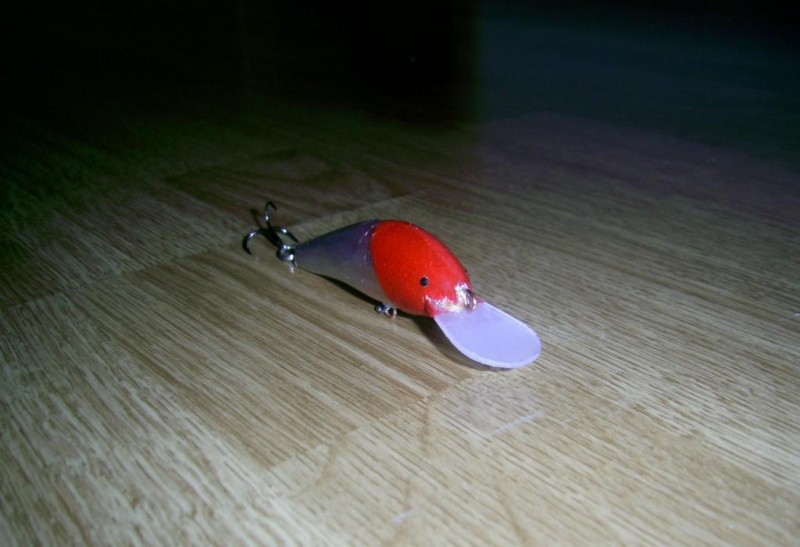 PIC_2852.JPG