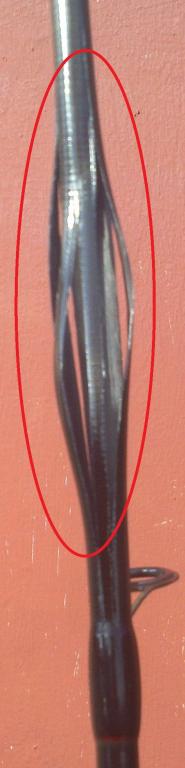 salmo_agresorius_suluzo.jpg