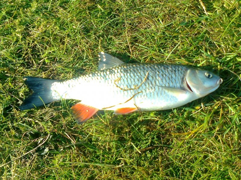 Nuotrauka0489.jpg