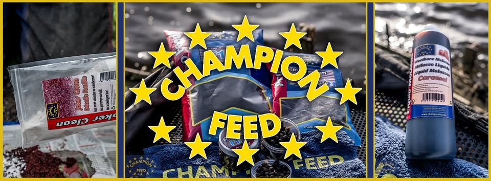 champion.jpg