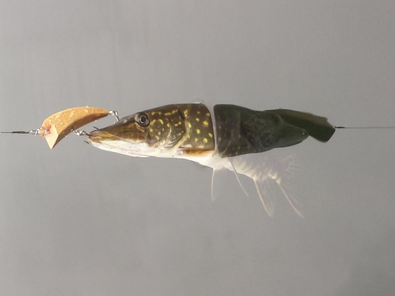 20131108_125138.jpg
