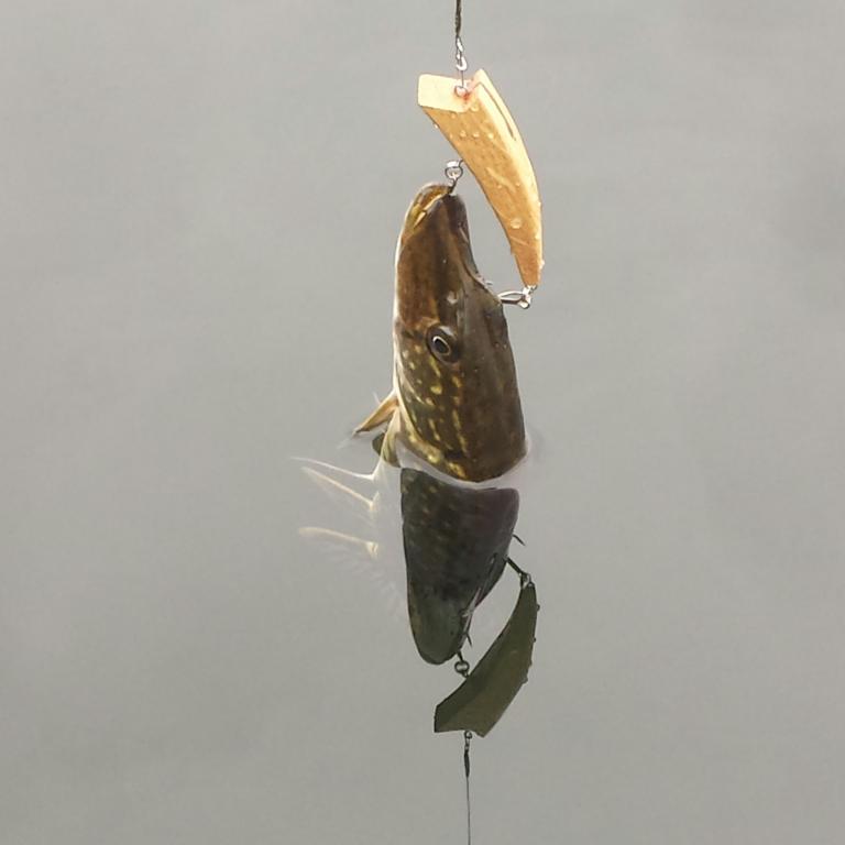 20131108_125054-1.jpg